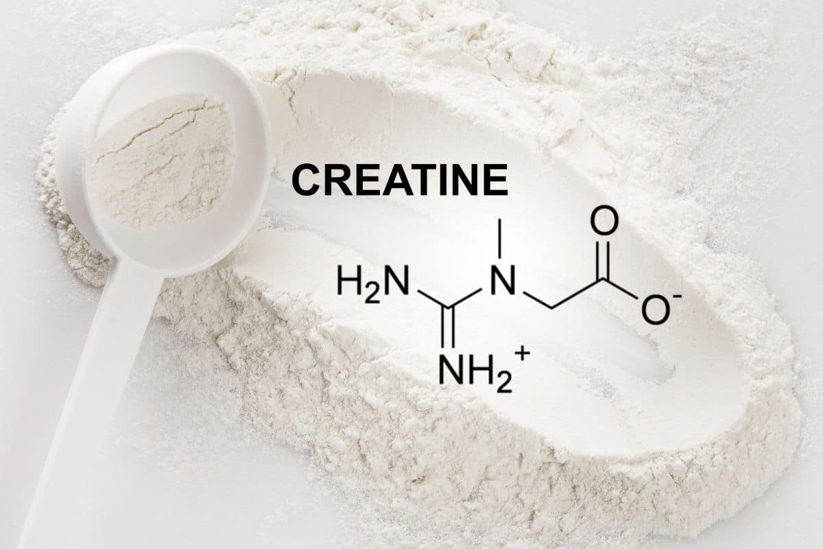 What is creatine: creatine scientific formula