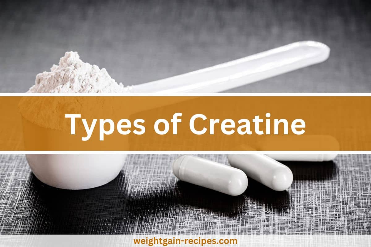 10 Different Types Of Creatine: What is the Best Type?