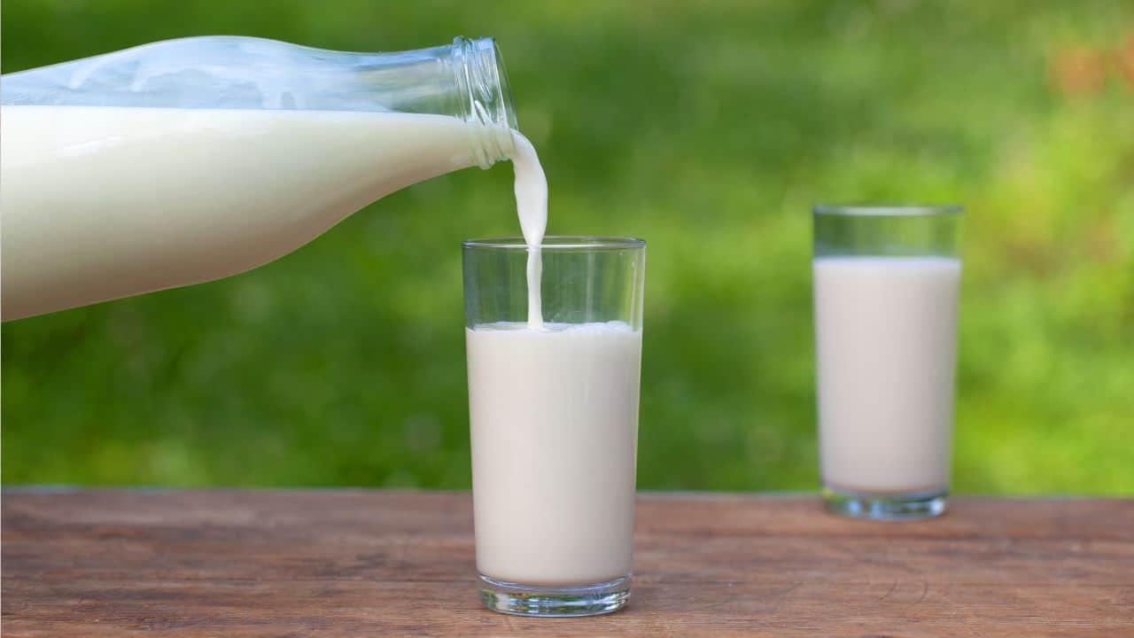 12 Healthy Foods That Can Speed Up Muscle Gain 9 Milk being poured into a glass
